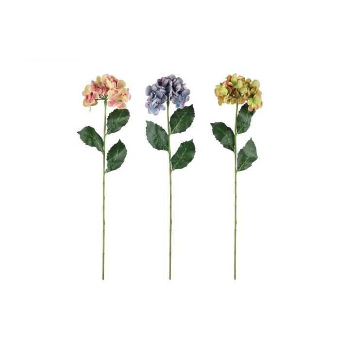 4 Living Collection Hortensia oksa 60 cm