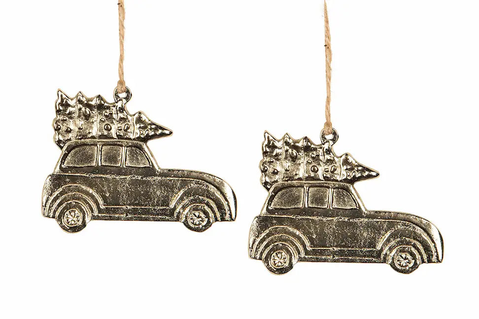 Metalliriipus auto ja kuusi