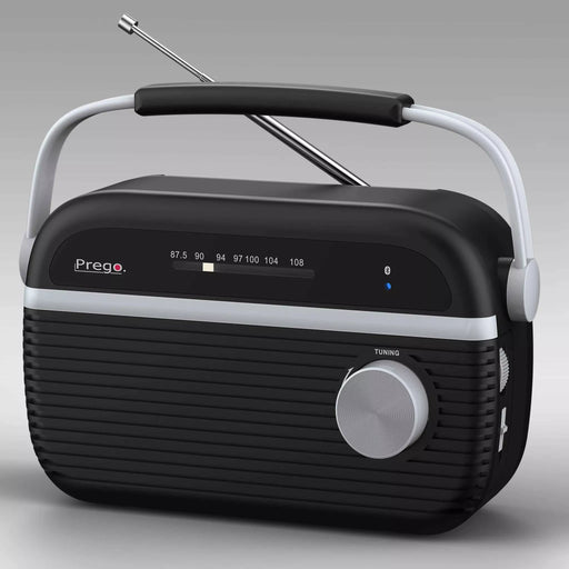 Bluetooth radio Prego PA205 - Primica Tools