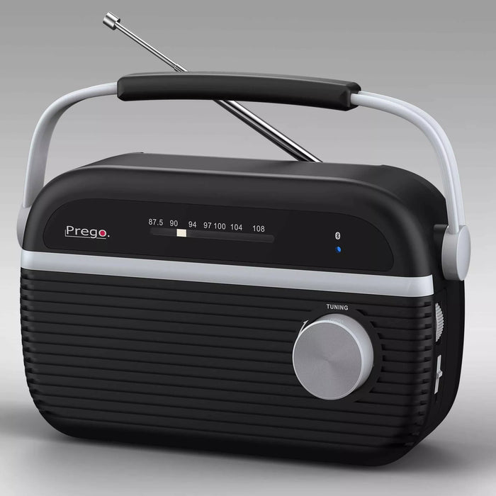Bluetooth radio Prego PA205 - Primica Tools