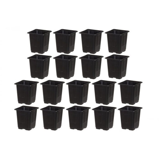 4 Living Collection Taimiruukku 9 cm 18 kpl - Primica Tools