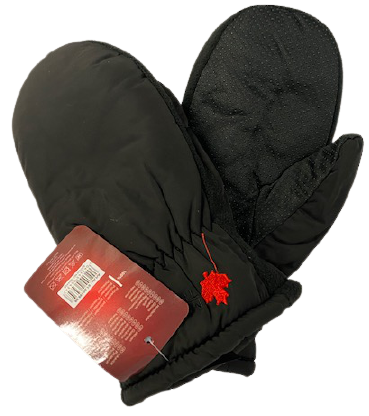 CANADA TUMMHANDSKAR L